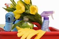 An Extra Pair of Hands Cleaning and Ironing Wirral 1055597 Image 2